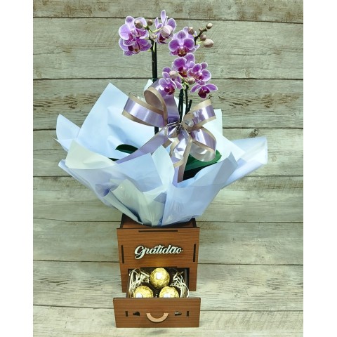 Mini Orquídea "Gratidão" Pote 9 "Cor Variada" + Chocolate  